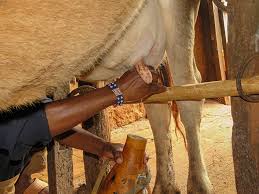 Better breeds with improved genetics